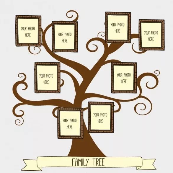 一起来画家庭树(family tree)!