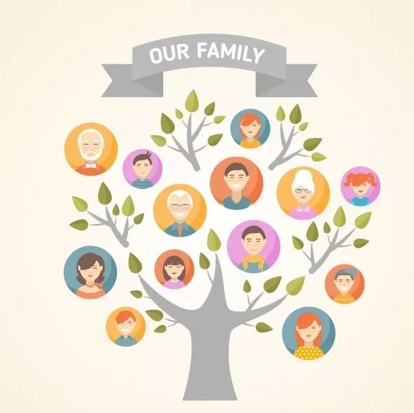 一起来画家庭树(family tree)!