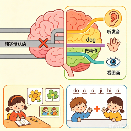 6岁孩子英语单词瞬间就忘读