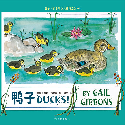 《鸭子》绘本简介