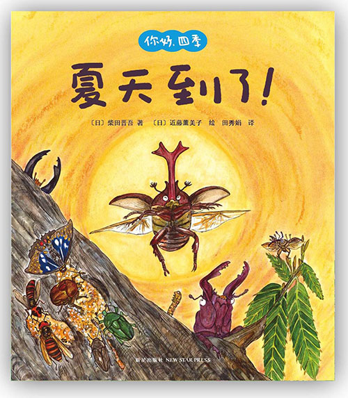 《夏天到了》绘本简介