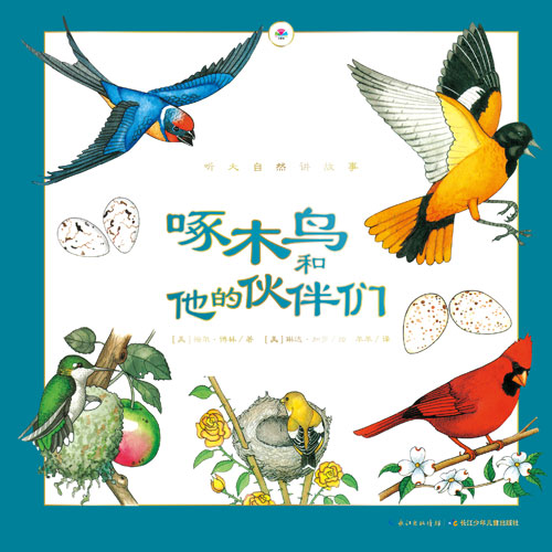 《啄木鸟和他的伙伴们》绘本简介