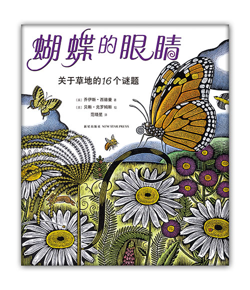 《蝴蝶的眼睛:关于草地的16个谜题》绘本简介