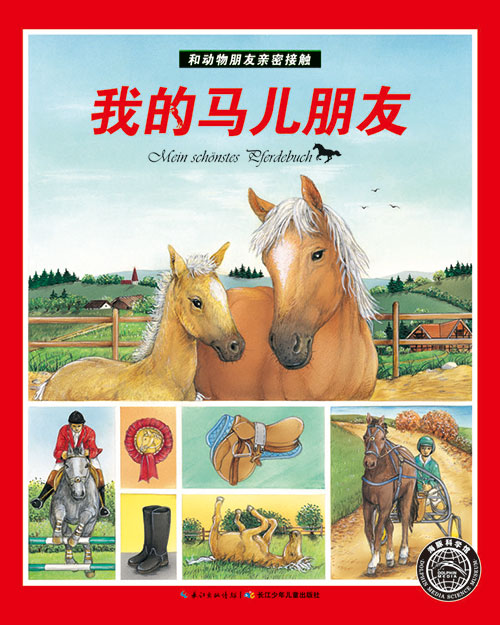 《我的马儿朋友》绘本简介