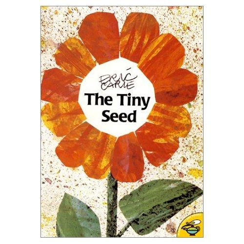 《The Tiny Seed (World of Eric Carle) 小种子》绘本简介