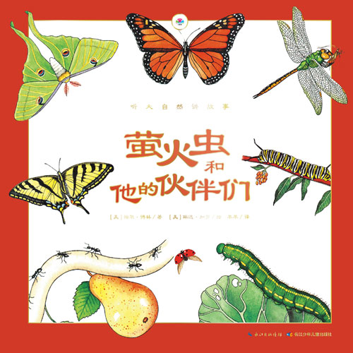 《萤火虫和他的伙伴们》绘本简介