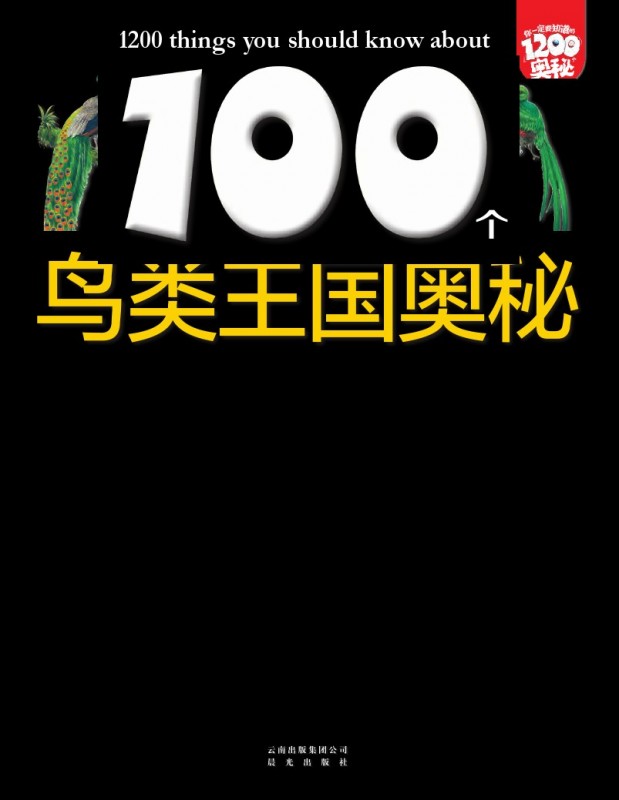 《100个鸟类王国奥秘》绘本简介