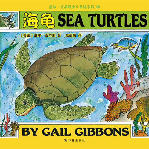 《海龟》绘本简介