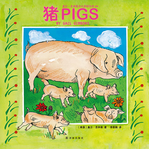 《猪》绘本简介